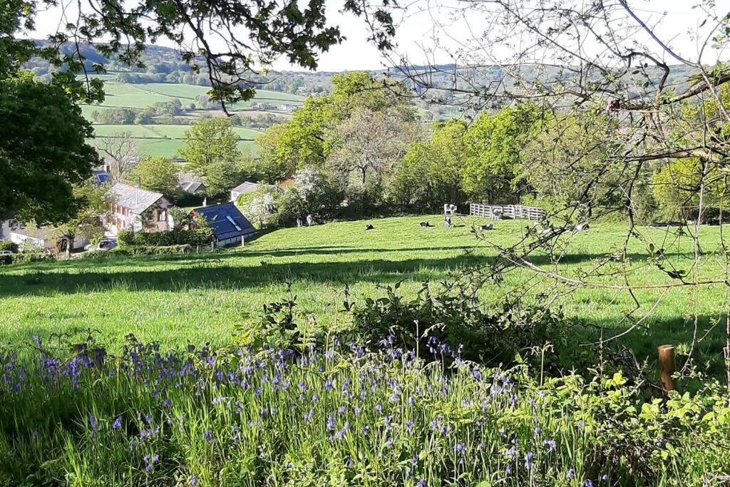 The Roost - A Bird'S Eye View In The Countryside Apartment Cullompton Bagian luar foto